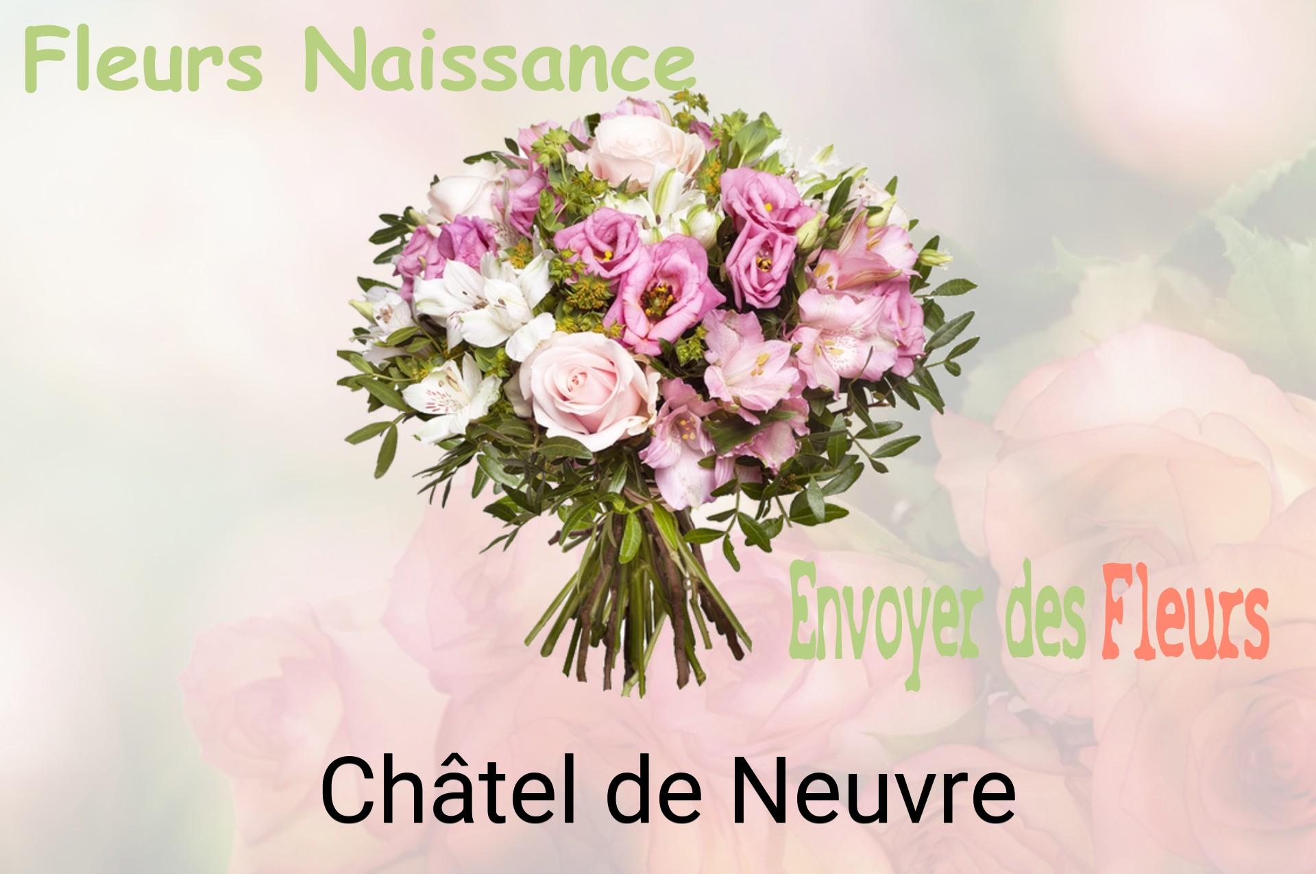 Bouquet de fleurs de naissance livré à Châtel-de-Neuvre