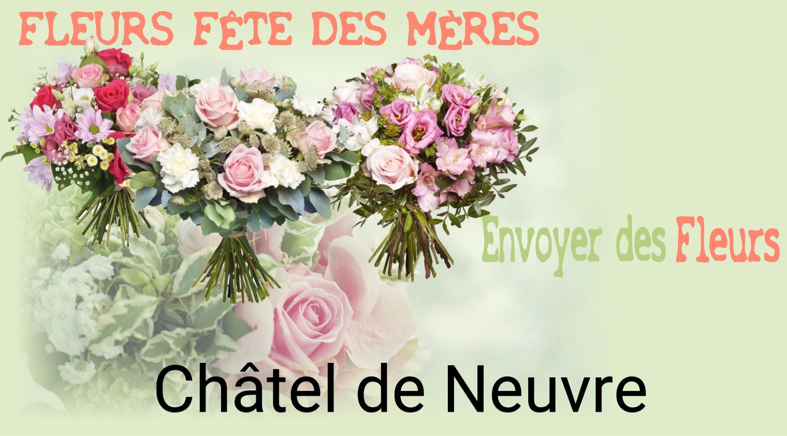 Bouquet de Fête des Mères livré à Châtel-de-Neuvre